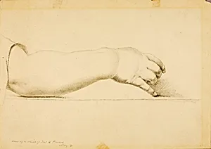 Arm of Child of Hiram Powers by Miner Kilbourne Kellogg