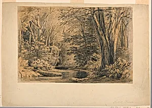 Artist's Brook