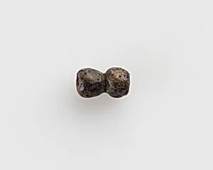 Bead, double by Unknown