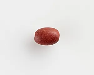 Bead by Unknown