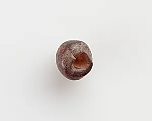 Bead by Unknown