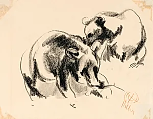 Bears