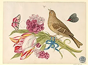 Bird with Tulip, Carnation, Butterflies, and Insect by Unknown