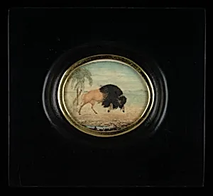 Bisonte con palmeras (Bison with Palm Trees)