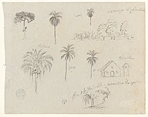Botanical Sketches with a Church, Río Magdalena, Colombia by Frederic Edwin Church, American, 1826–1900