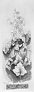 Bound print by Gilles Paul Cauvet, French, 1731–1788