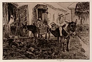 Boy and Donkeys