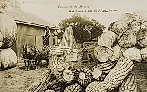 Bringing in the Sheaves: A common scene on an Iowa Farm
