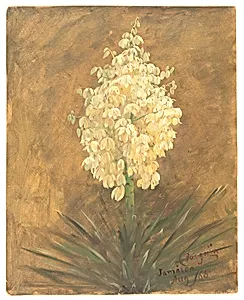 Bromelia Pinguin in Bloom, Jamaica by Frederic Edwin Church, American, 1826–1900