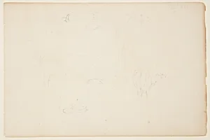 Bull Drinking and a Yoke, Catskill, New York by Frederic Edwin Church, American, 1826–1900