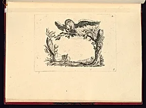 Cartouche Design
