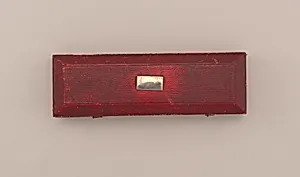 Case for Fork, Knife and Spoon with Ivory Handles