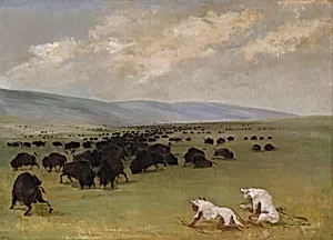 Catlin and His Indian Guide Approaching Buffalo under White Wolf Skins