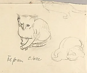 Cats
