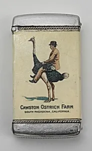 "Cawston Ostrich Farm, South Pasadena, California"