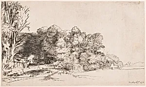 Clump of Trees with a Vista