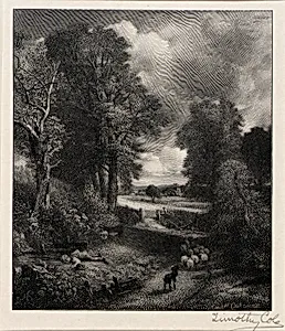 Cornfield