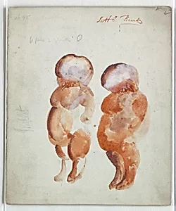 Costume Design: No. 135, Two Little Breads, for Blue Bird