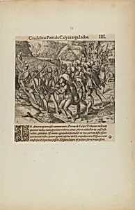 Crudelitas Petride Calyce Erga Indos. III. (from book, Americae, part four)