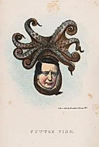 Cuttle Fish by Max Rosenthal, 23 Nov 1833 - 8 Aug 1918