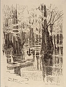 Cypress Swamp