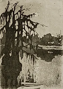 Cypress Trees