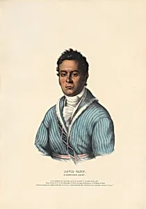 David Vann - A Cherokee Chief