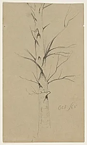 Dead Tree, Vermont by Frederic Edwin Church, American, 1826–1900