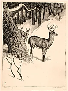 Deer Family