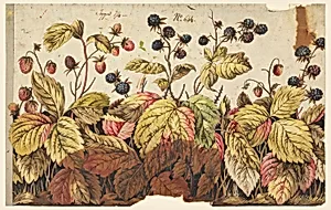 Design for a Printed Border by Unknown