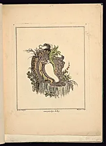 Design for Asymmetrical Cartouche