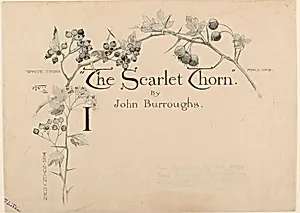 Design for Title Page Heading of "The Scarlet Thorn" by John Burroughs