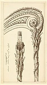 Design for Top Frame of a Harp