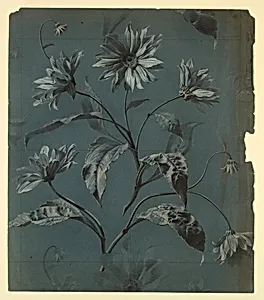 Design for Wallpaper or Textile of Daisy-Type Flower with Repeat by Unknown