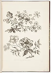 Designs for Chinoiserie Flowers by Jean-Baptiste Pillement, French, 1728–1808
