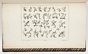 Designs for Rocaille Motifs