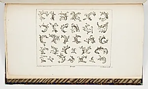 Designs for Rocaille Motifs