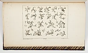 Designs for Rocaille Motifs