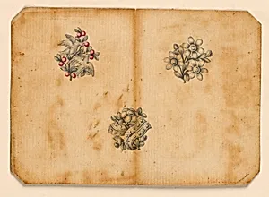 Designs for Three Brooches