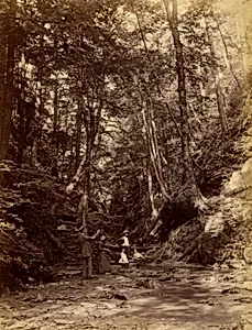 Devil's Gully, from the album Views of Charlestown, New Hampshire