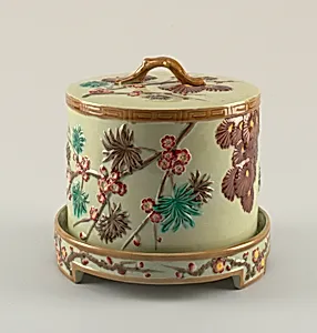 Dish and cover