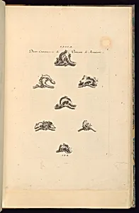 Divers Couronnemens de Panneaux de Menuiserie