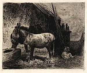 (Donkeys and Sheep)