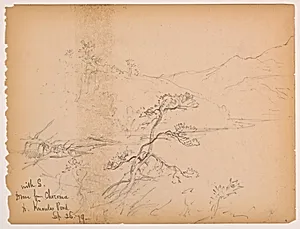 Drive from Chocorua to Knowles Pond by Daniel Huntington, American, 1816–1906