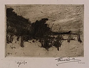 Dune Shore