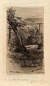 Edge of the Mill Stream