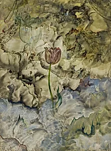 Emergence