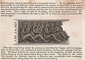 Engraving of Slaves in the Hold