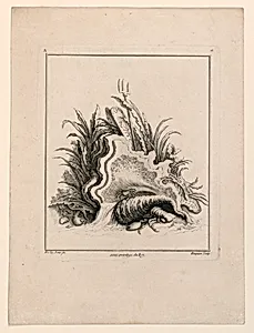 Escutcheon, from "Recueil Nouveau de Differens Cartouche" by Jacques de Lajoüe, French, 1687–1761