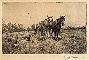 (Fall Ploughing)